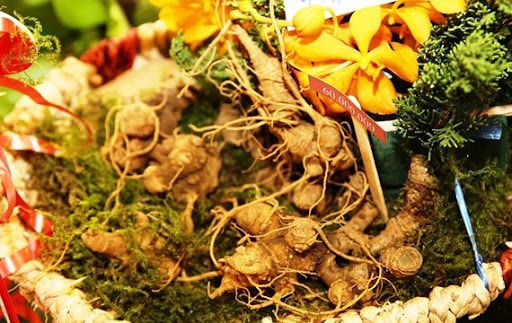 Bán sâm ngọc linh tại sài gòn sg Bán sâm ngọc linh tại sài gòn sg