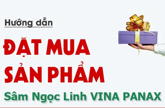 Sâm Ngọc Linh VINA PANAX Sâm Ngọc Linh VINA PANAX